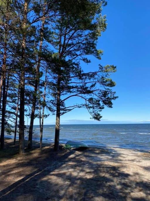Lovely Apartment By The Sea. Ķesterciems Екстериор снимка